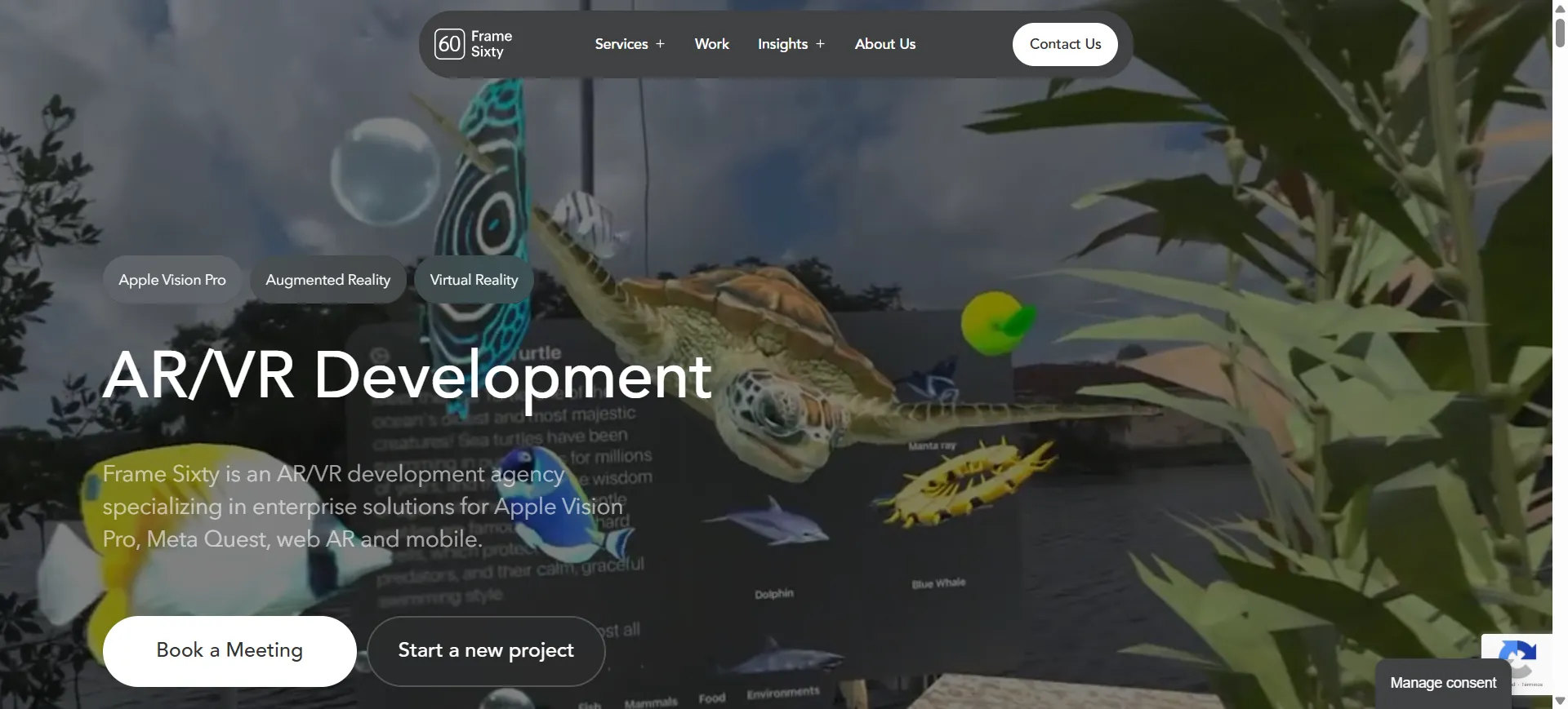 Frame Sixty - Captura 1