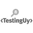 Testing Uy diseño y desarrollo del sitio web